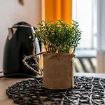 Widokowy - Goscinne Apartamento *