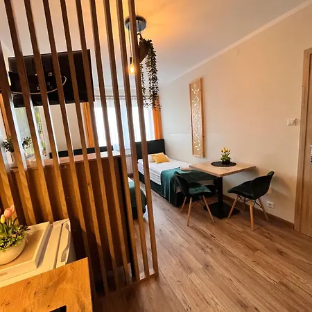 Apartment Widokowy - Goscinne